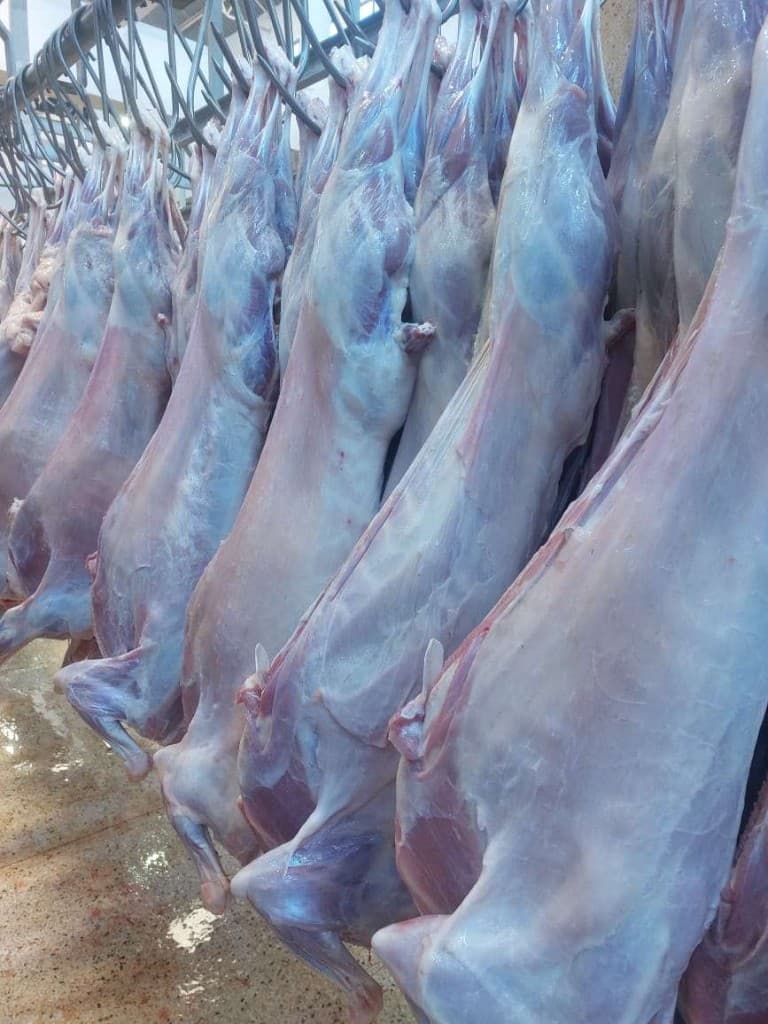 Whole Carcass Supply